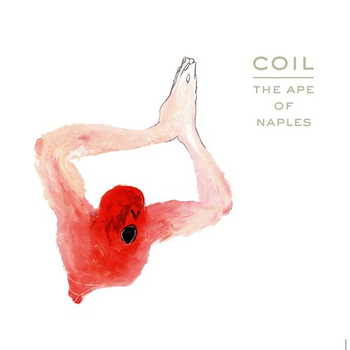 Coil the ape naples - the, (cd)